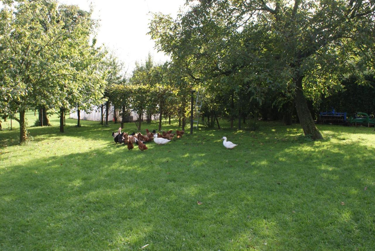 Agrogosia 호텔 Czajowice 외부 사진