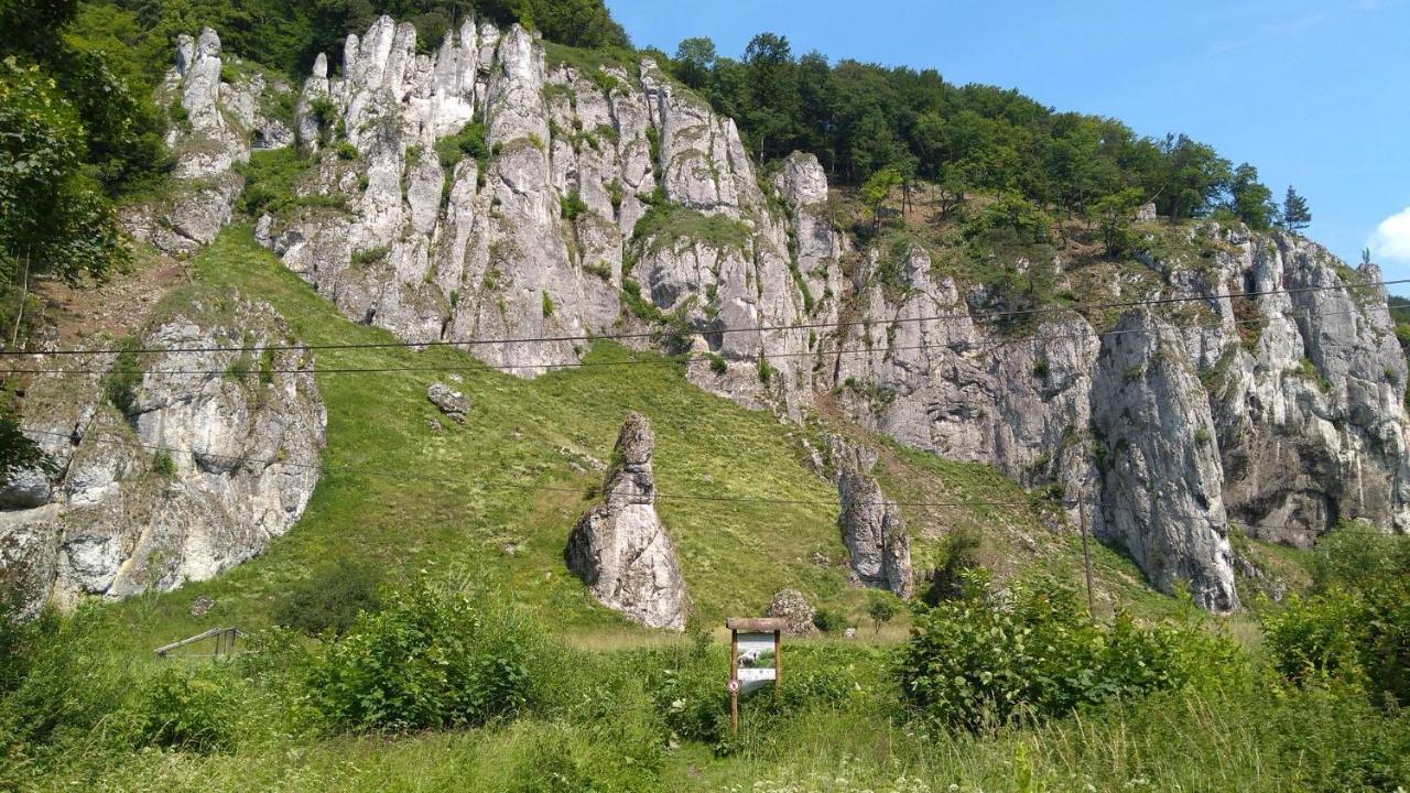 Agrogosia 호텔 Czajowice 외부 사진